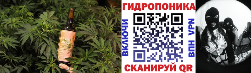 Canna-Cookies марихуана  даркнет сайт  Ленск 