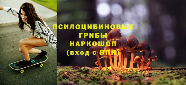 apvp Киреевск